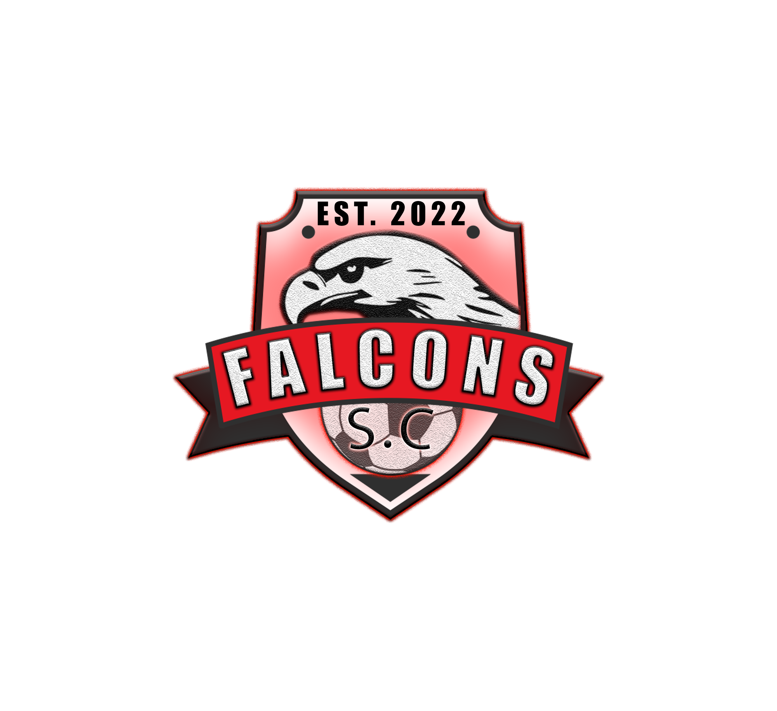 Falcons SC
